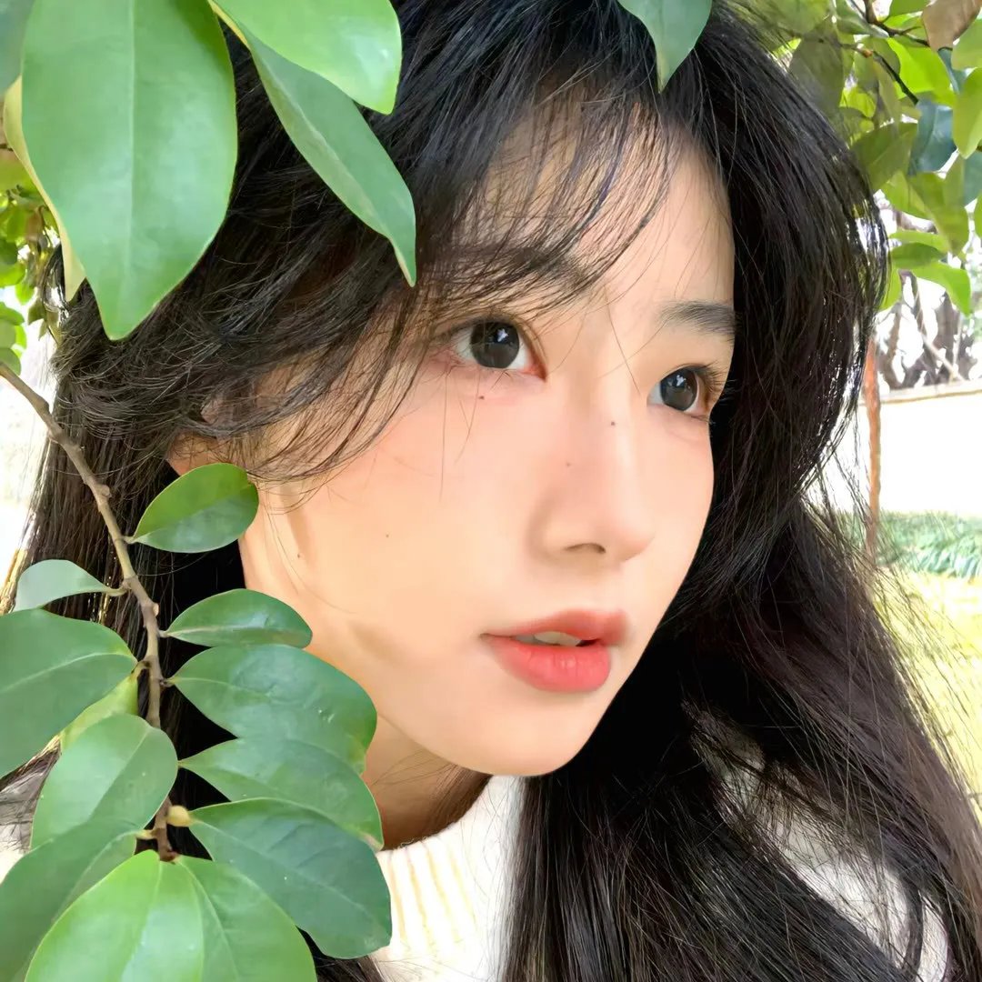 花木兰1964国语