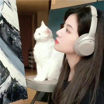 迷离凶手